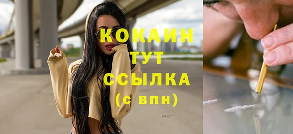 шишки Алексин
