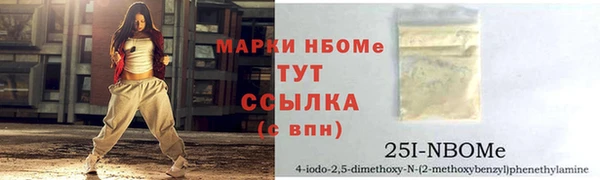 шишки Алексин