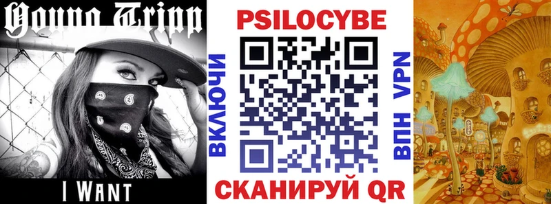 Галлюциногенные грибы Psilocybe  где продают   Алатырь 
